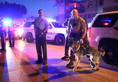 Ferguson police bring along their viciously-trained canines, just in case the peaceful protesters get to rowdy. 